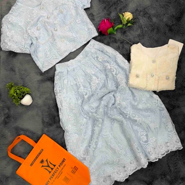 Self Net Skirt Set